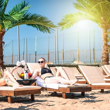 Palms كيتن