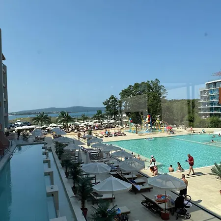 Hotel Palms